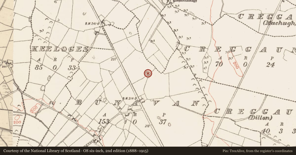 Ordnance Survey six-inch map, 2nd edition (1888–1915) covering the location of Ringfort - unclassified, Bunavan, County Galway, with a pin at the register's coordinates