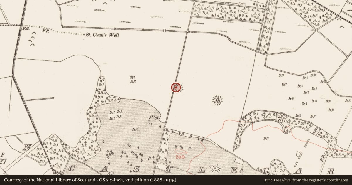 Ordnance Survey six-inch map, 2nd edition (1888–1915) covering the location of Enclosure, Castlegar East, County Galway, with a pin at the register's coordinates