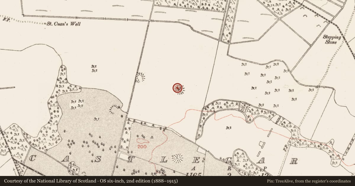 Ordnance Survey six-inch map, 2nd edition (1888–1915) covering the location of Ringfort - unclassified, Castlegar East, County Galway, with a pin at the register's coordinates