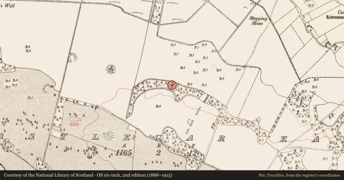 Ordnance Survey six-inch map, 2nd edition (1888–1915) covering the location of Enclosure, Castlegar East, County Galway, with a pin at the register's coordinates