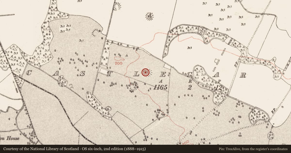 Ordnance Survey six-inch map, 2nd edition (1888–1915) covering the location of Enclosure, Castlegar East, County Galway, with a pin at the register's coordinates
