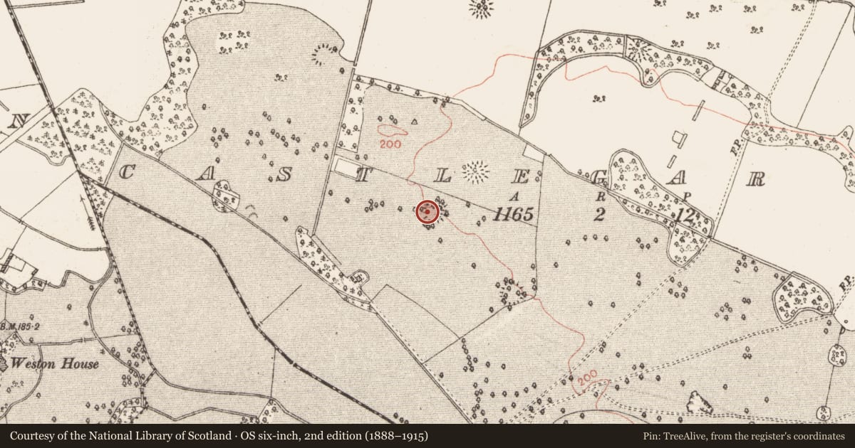 Ordnance Survey six-inch map, 2nd edition (1888–1915) covering the location of Ringfort - unclassified, Castlegar East, County Galway, with a pin at the register's coordinates