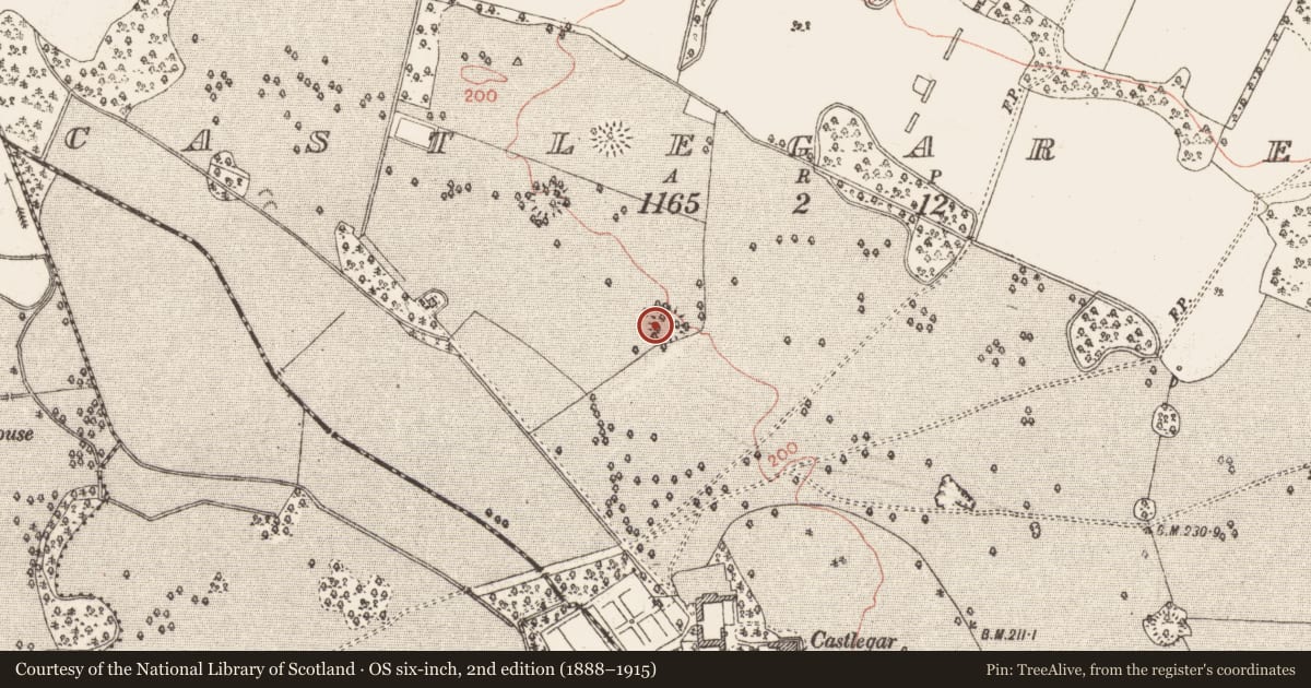 Ordnance Survey six-inch map, 2nd edition (1888–1915) covering the location of Ringfort - unclassified, Castlegar East, County Galway, with a pin at the register's coordinates