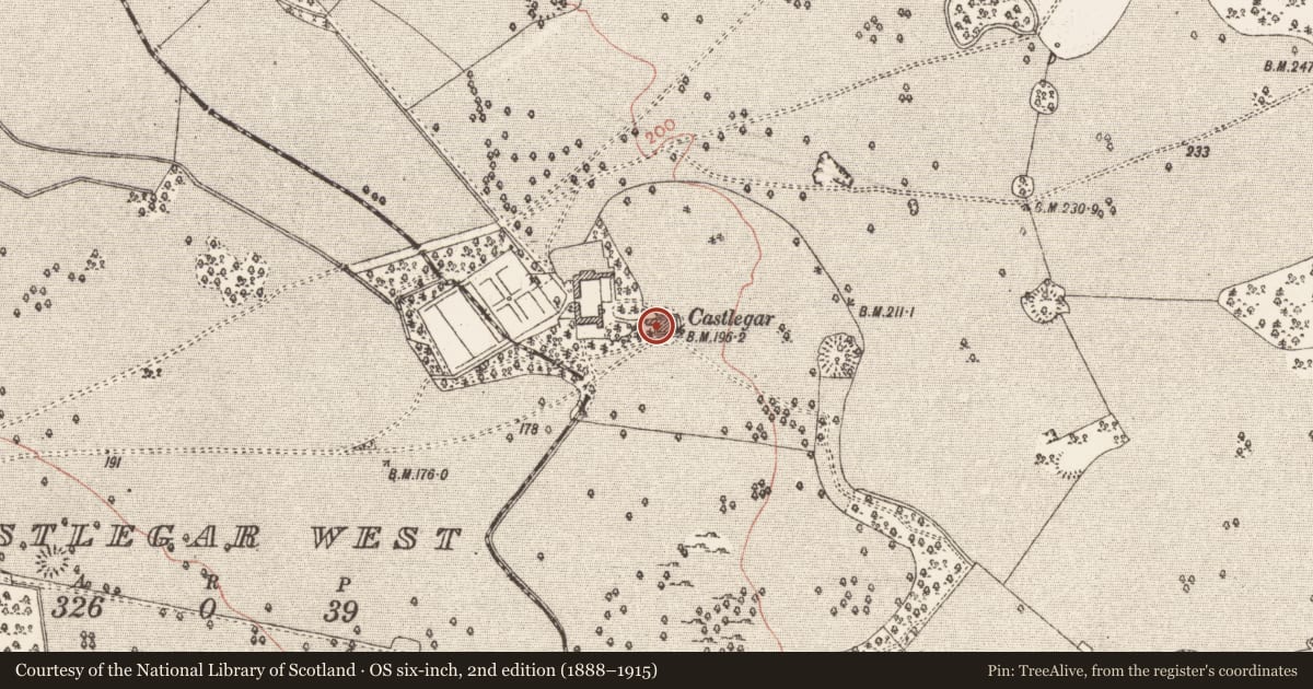 Ordnance Survey six-inch map, 2nd edition (1888–1915) covering the location of Country house, Castlegar East, County Galway, with a pin at the register's coordinates