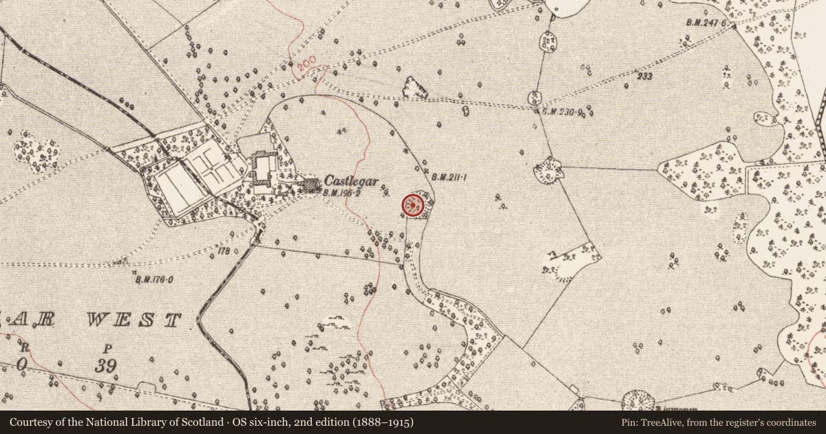 Ordnance Survey six-inch map, 2nd edition (1888–1915) covering the location of Ringfort - unclassified, Castlegar East, County Galway, with a pin at the register's coordinates