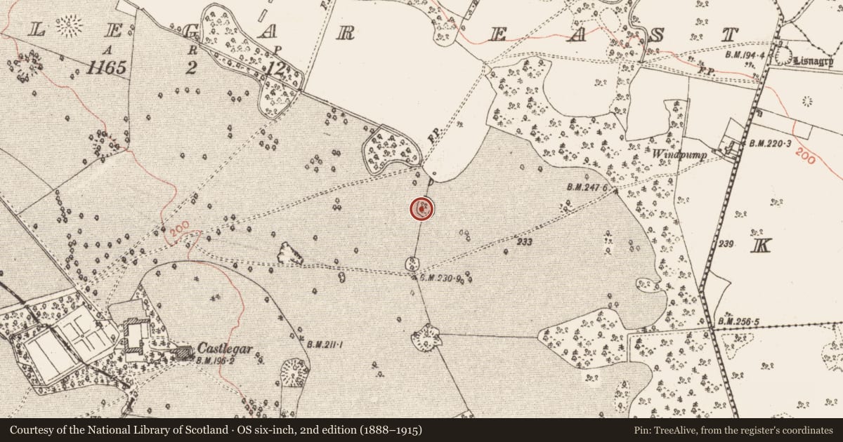 Ordnance Survey six-inch map, 2nd edition (1888–1915) covering the location of Enclosure, Castlegar East, County Galway, with a pin at the register's coordinates