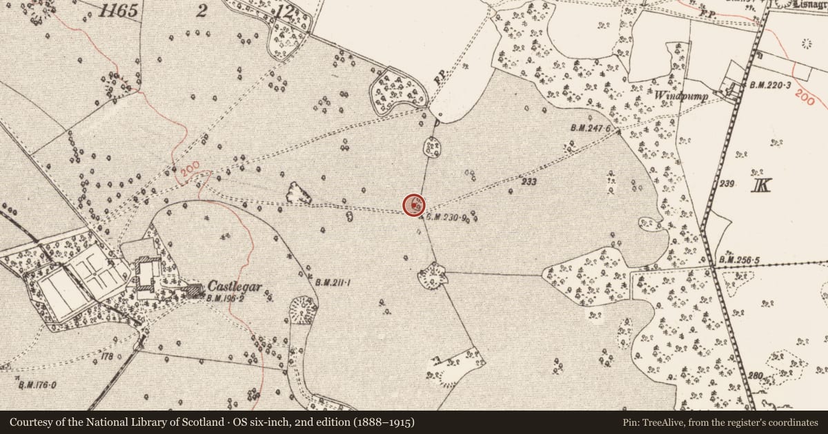 Ordnance Survey six-inch map, 2nd edition (1888–1915) covering the location of Enclosure, Castlegar East, County Galway, with a pin at the register's coordinates