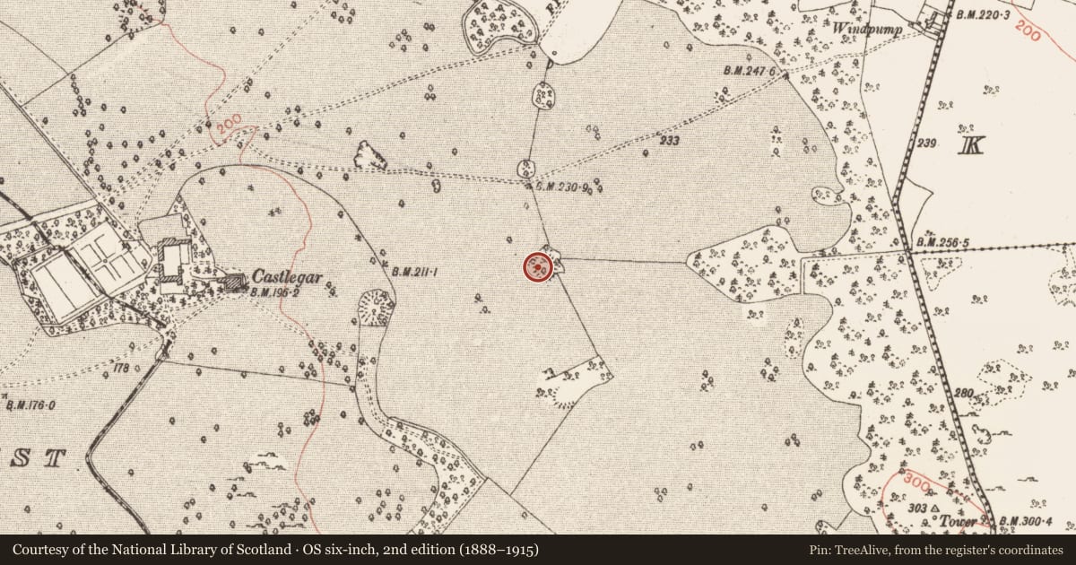 Ordnance Survey six-inch map, 2nd edition (1888–1915) covering the location of Ringfort - unclassified, Castlegar East, County Galway, with a pin at the register's coordinates