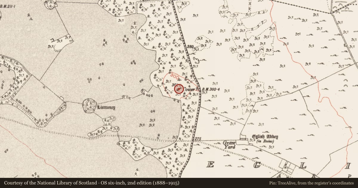 Ordnance Survey six-inch map, 2nd edition (1888–1915) covering the location of Designed landscape - folly, Castlegar East, County Galway, with a pin at the register's coordinates