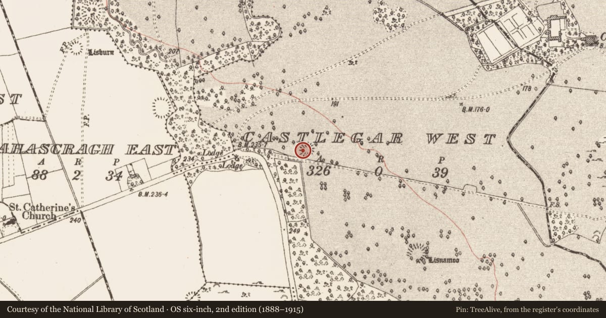 Ordnance Survey six-inch map, 2nd edition (1888–1915) covering the location of Ringfort - unclassified, Castlegar West, County Galway, with a pin at the register's coordinates