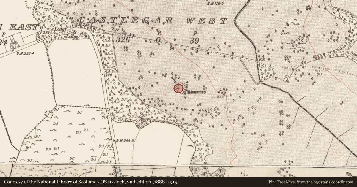 Ordnance Survey six-inch map, 2nd edition (1888–1915) covering the location of Ringfort - unclassified, Castlegar West, County Galway, with a pin at the register's coordinates