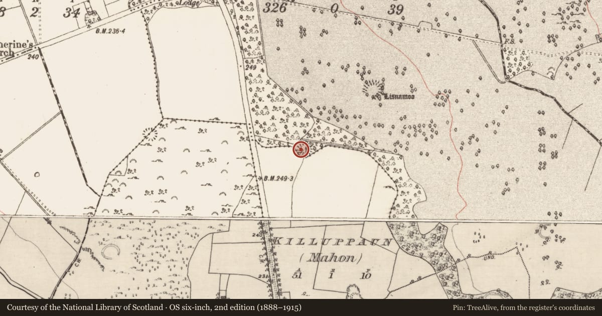 Ordnance Survey six-inch map, 2nd edition (1888–1915) covering the location of Ringfort - unclassified, Castlegar West, Killuppaun (Mahon), County Galway, with a pin at the register's coordinates