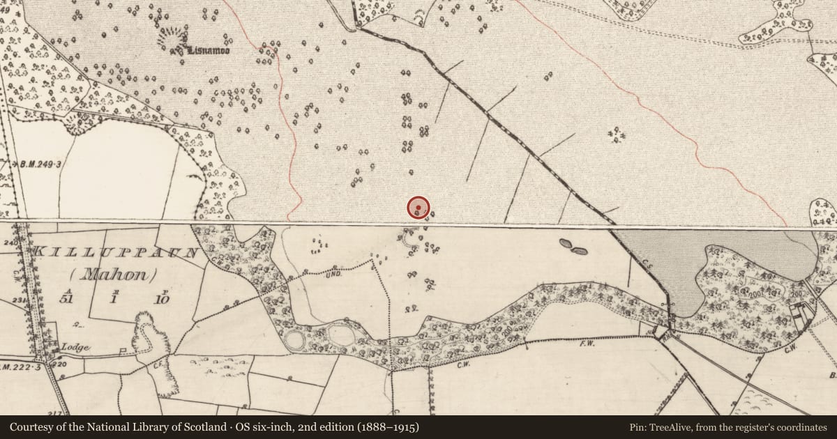 Ordnance Survey six-inch map, 2nd edition (1888–1915) covering the location of Enclosure, Castlegar West, County Galway, with a pin at the register's coordinates