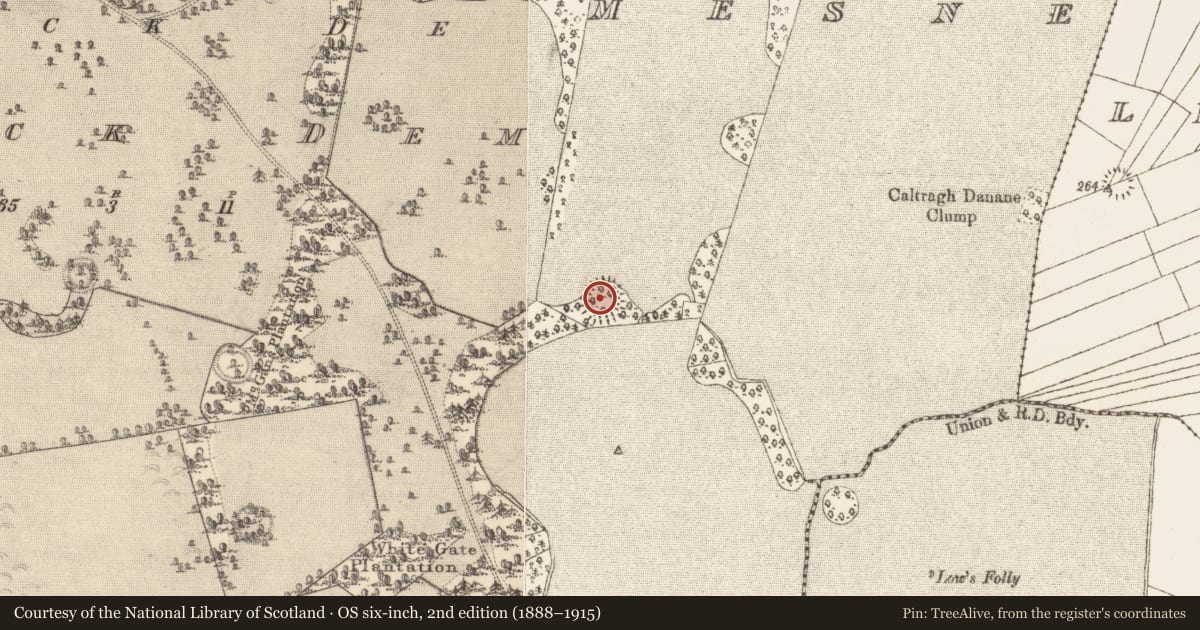 Ordnance Survey six-inch map, 2nd edition (1888–1915) covering the location of Ringfort - unclassified, Clonbrock Demesne, County Galway, with a pin at the register's coordinates