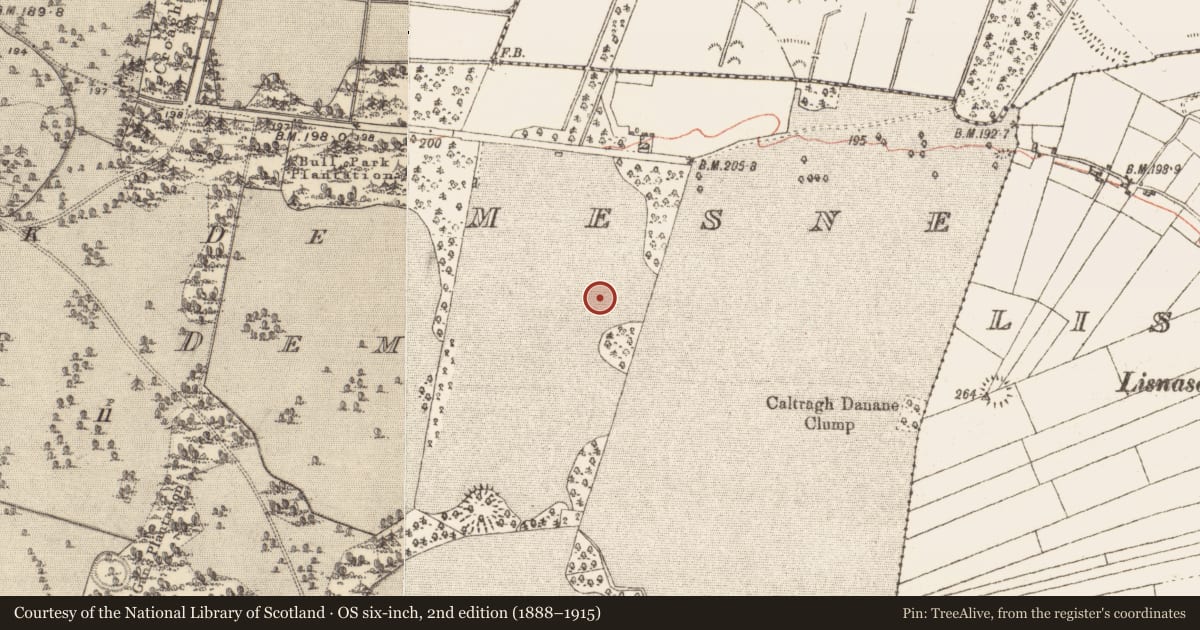Ordnance Survey six-inch map, 2nd edition (1888–1915) covering the location of Children's burial ground, Clonbrock Demesne, County Galway, with a pin at the register's coordinates