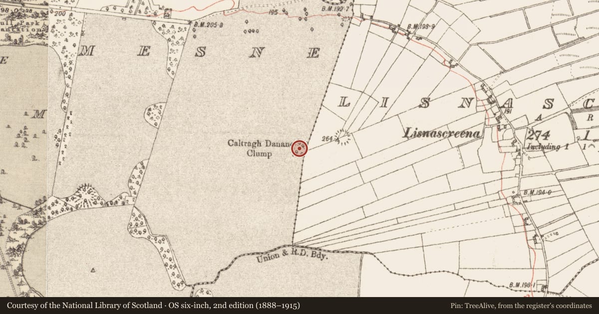Ordnance Survey six-inch map, 2nd edition (1888–1915) covering the location of Children's burial ground, Clonbrock Demesne, County Galway, with a pin at the register's coordinates