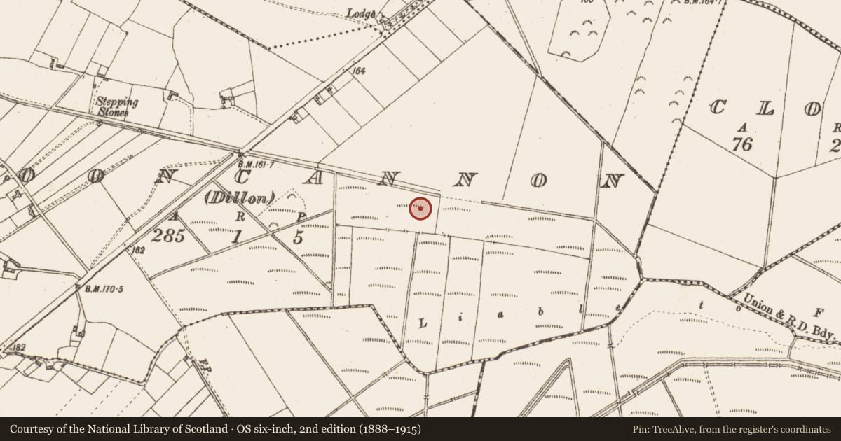 Ordnance Survey six-inch map, 2nd edition (1888–1915) covering the location of Road - unclassified togher, Clooncannon (Dillon), County Galway, with a pin at the register's coordinates