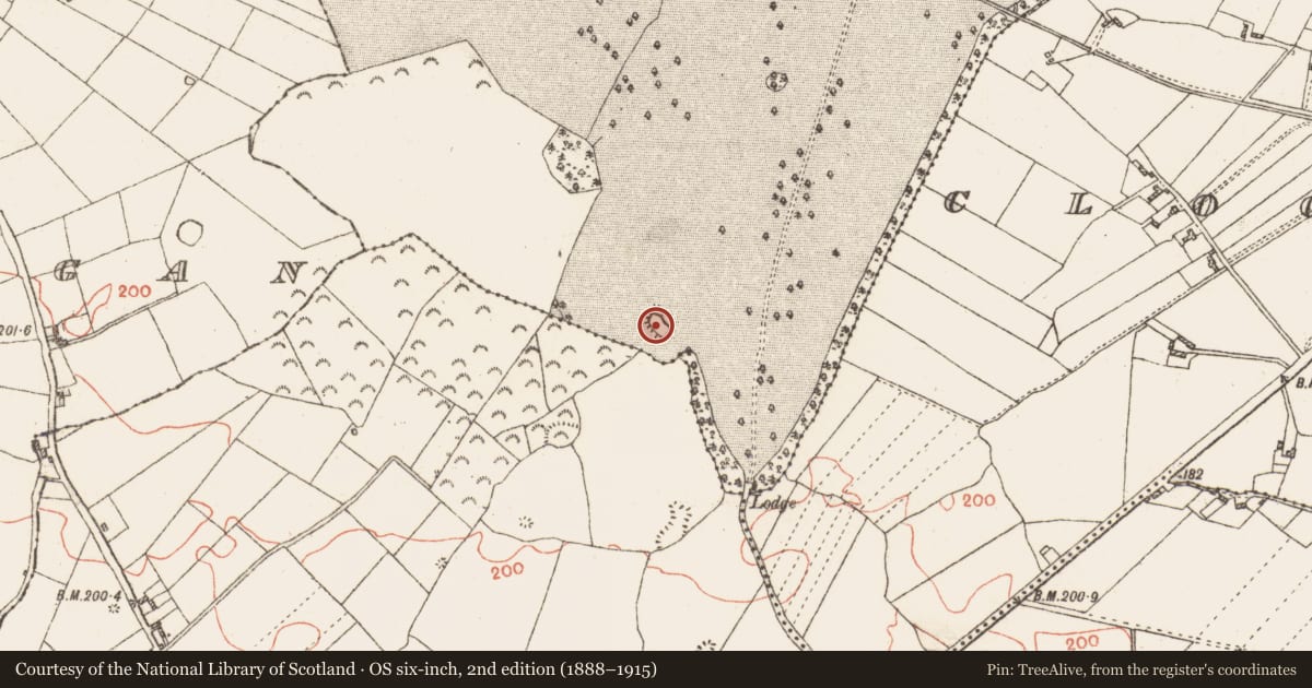 Ordnance Survey six-inch map, 2nd edition (1888–1915) covering the location of Quarry, Clooncannon (Kelly), County Galway, with a pin at the register's coordinates