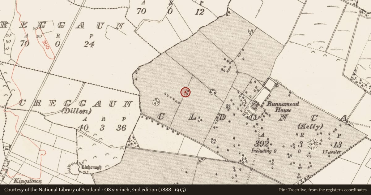 Ordnance Survey six-inch map, 2nd edition (1888–1915) covering the location of Designed landscape feature, Clooncannon (Kelly), County Galway, with a pin at the register's coordinates