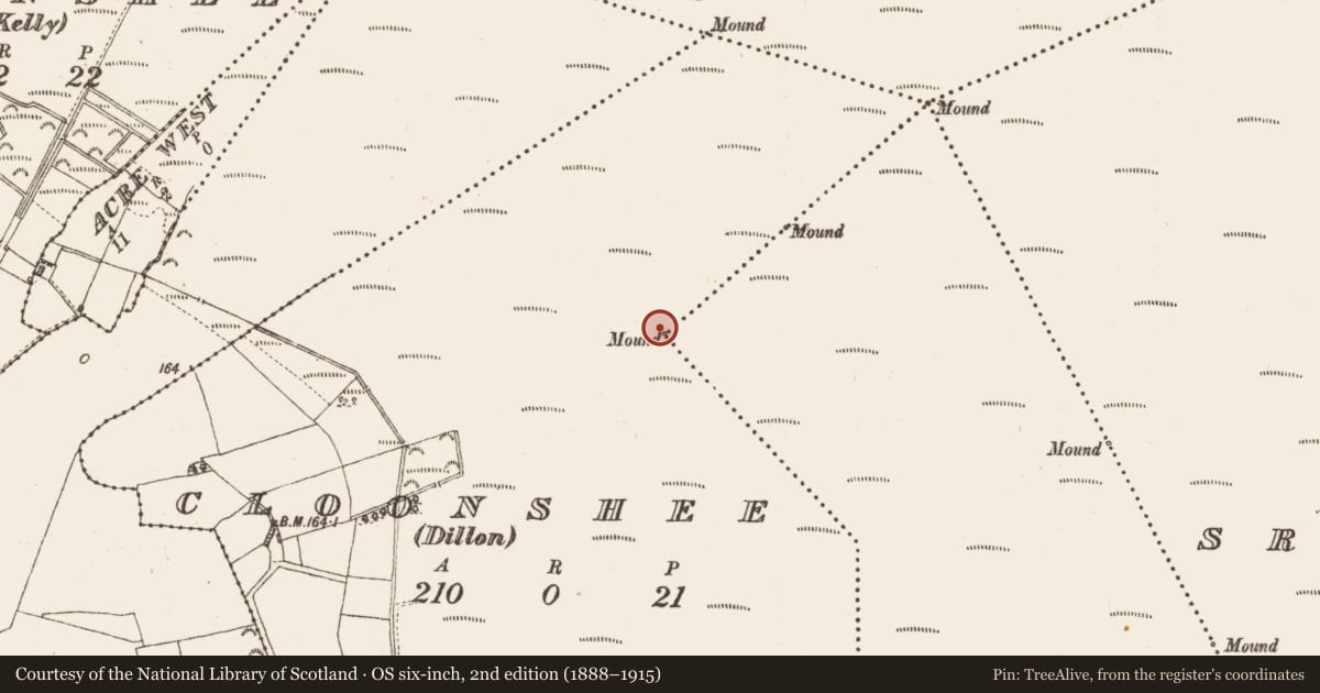 Ordnance Survey six-inch map, 2nd edition (1888–1915) covering the location of Boundary mound, Cloonshee (Dillon), Lissyegan (Mahon), County Galway, with a pin at the register's coordinates