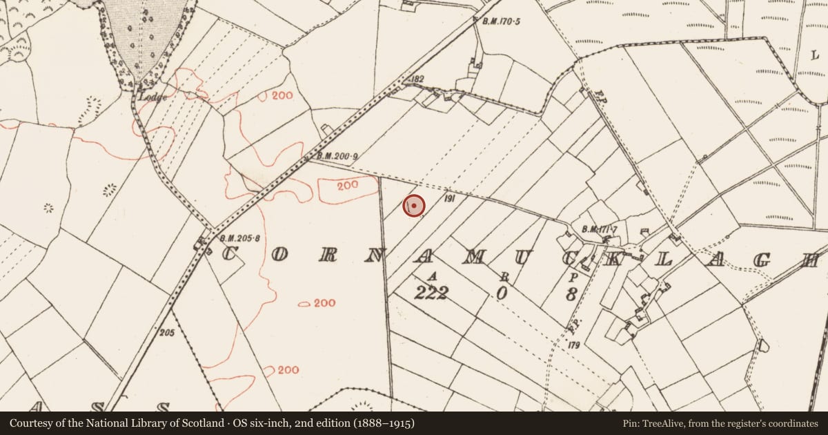 Ordnance Survey six-inch map, 2nd edition (1888–1915) covering the location of Ringfort - rath, Cornamucklagh, County Galway, with a pin at the register's coordinates