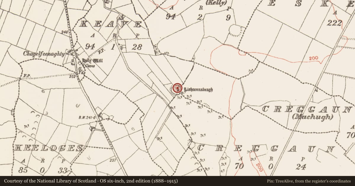 Ordnance Survey six-inch map, 2nd edition (1888–1915) covering the location of Ringfort - rath, County Galway, with a pin at the register's coordinates