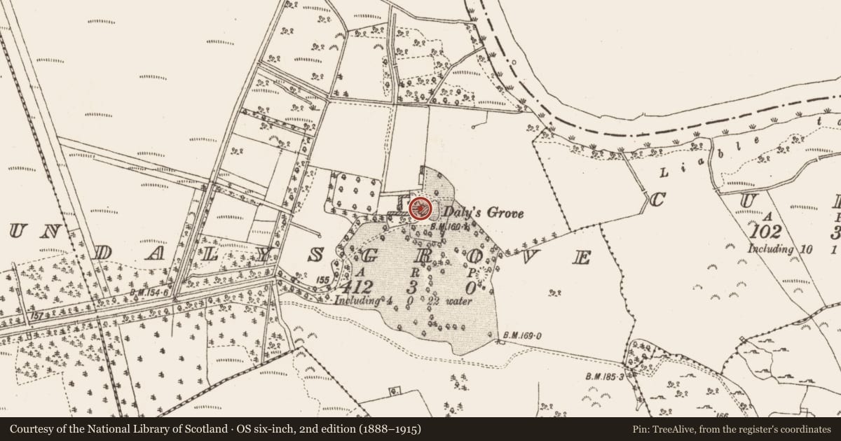 Ordnance Survey six-inch map, 2nd edition (1888–1915) covering the location of Country house, Dalysgrove, County Galway, with a pin at the register's coordinates