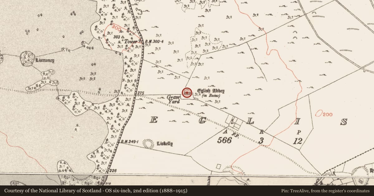 Ordnance Survey six-inch map, 2nd edition (1888–1915) covering the location of Religious house - Carmelite friars, Eglish, County Galway, with a pin at the register's coordinates