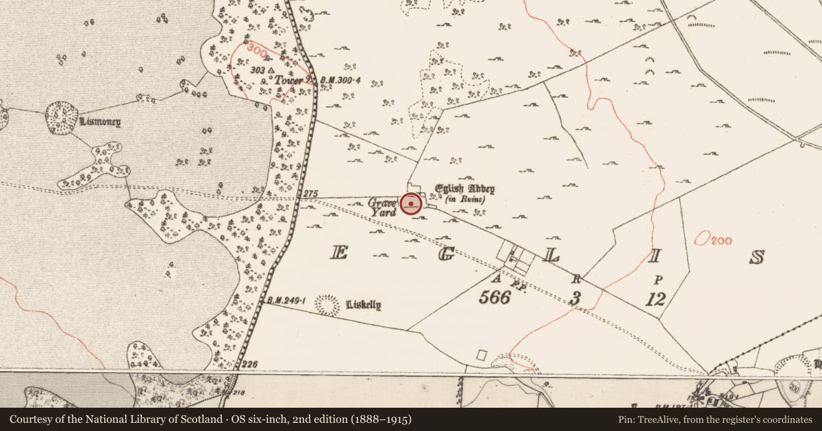Ordnance Survey six-inch map, 2nd edition (1888–1915) covering the location of Graveyard, Eglish, County Galway, with a pin at the register's coordinates