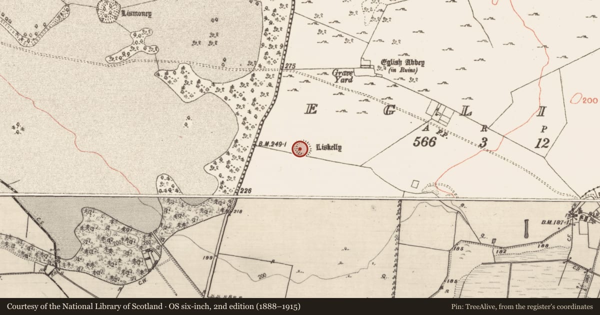 Ordnance Survey six-inch map, 2nd edition (1888–1915) covering the location of Ringfort - unclassified, Eglish, County Galway, with a pin at the register's coordinates