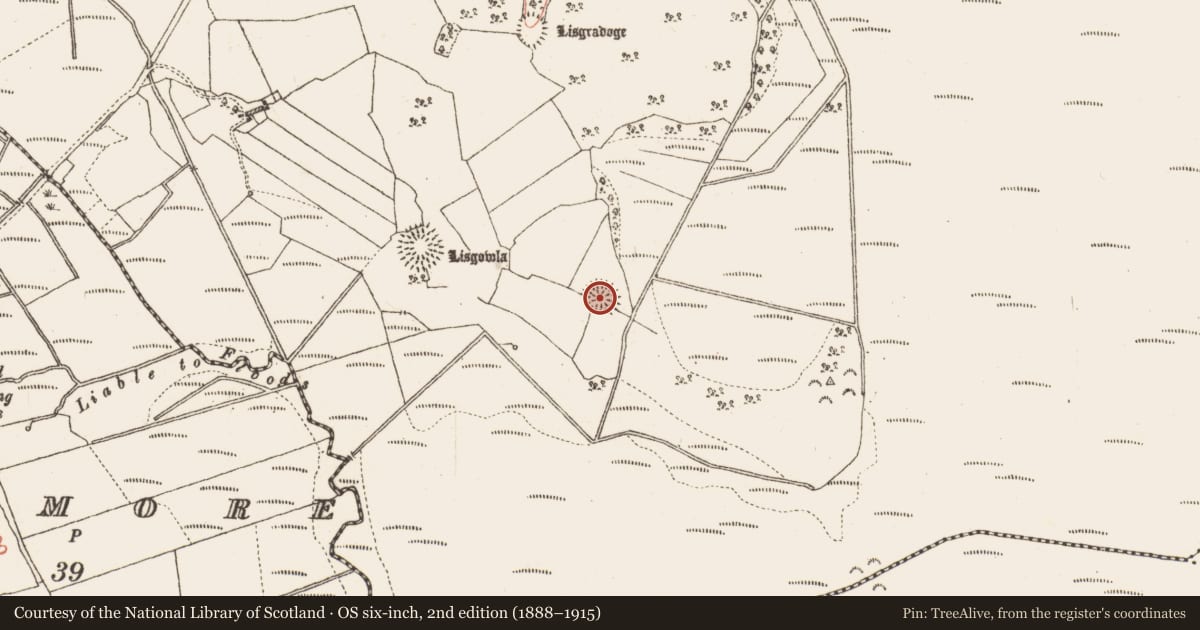 Ordnance Survey six-inch map, 2nd edition (1888–1915) covering the location of Ringfort - rath, Gowla, County Galway, with a pin at the register's coordinates