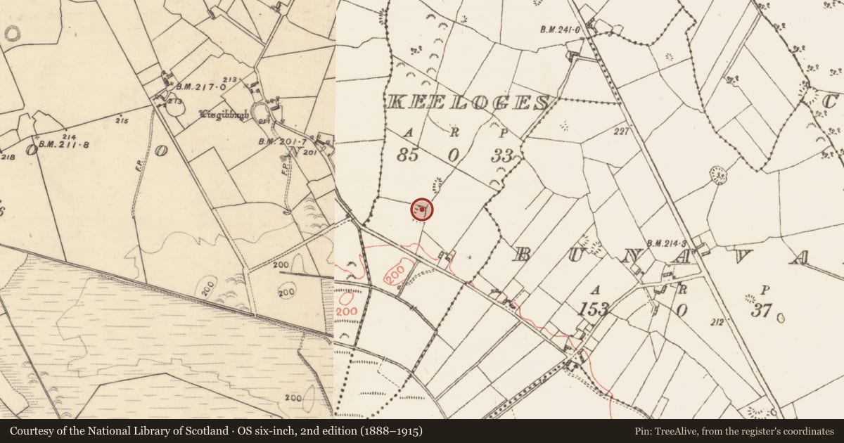 Ordnance Survey six-inch map, 2nd edition (1888–1915) covering the location of Ringfort - unclassified, Keeloges, County Galway, with a pin at the register's coordinates