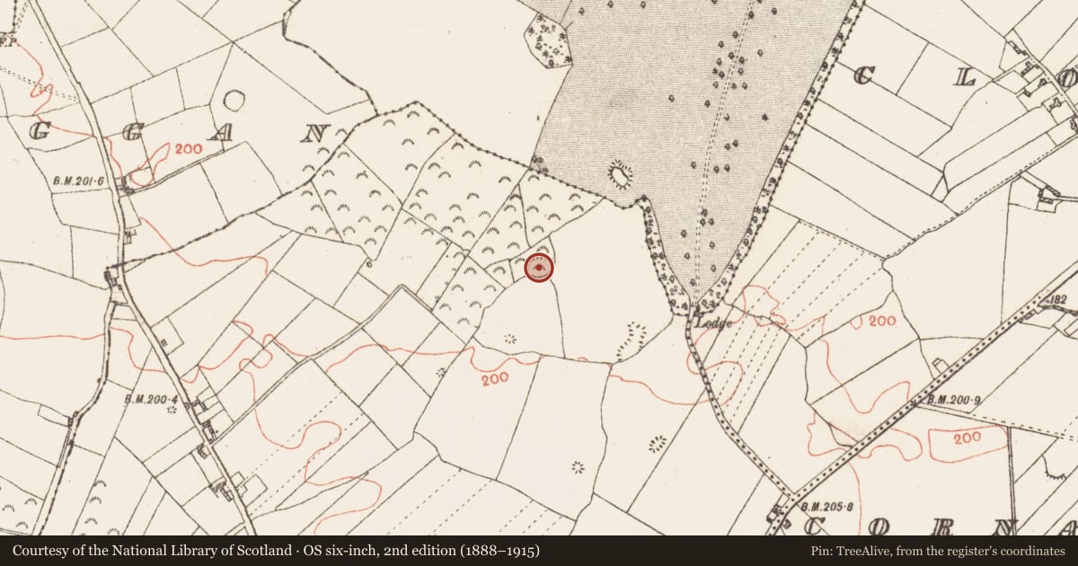 Ordnance Survey six-inch map, 2nd edition (1888–1915) covering the location of Ringfort - rath, Kilglass, County Galway, with a pin at the register's coordinates