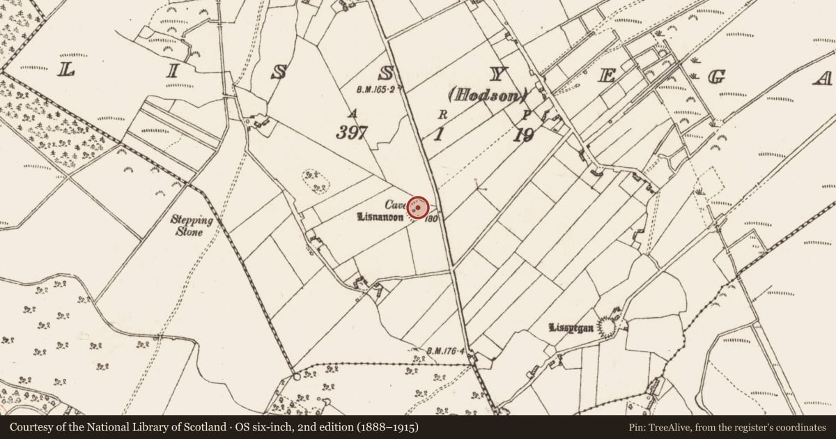 Ordnance Survey six-inch map, 2nd edition (1888–1915) covering the location of Souterrain, Lissyegan (Hodson), County Galway, with a pin at the register's coordinates
