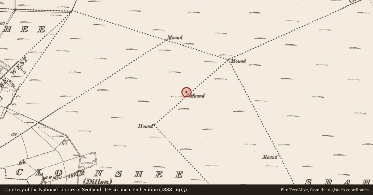 Ordnance Survey six-inch map, 2nd edition (1888–1915) covering the location of Boundary mound, Lissyegan (Mahon), Srahloughra, County Galway, with a pin at the register's coordinates