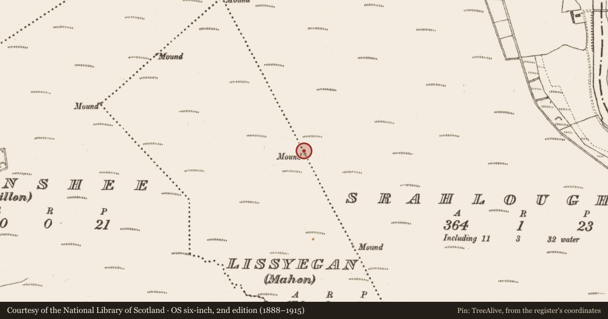 Ordnance Survey six-inch map, 2nd edition (1888–1915) covering the location of Boundary mound, Lissyegan (Mahon), Srahloughra, County Galway, with a pin at the register's coordinates