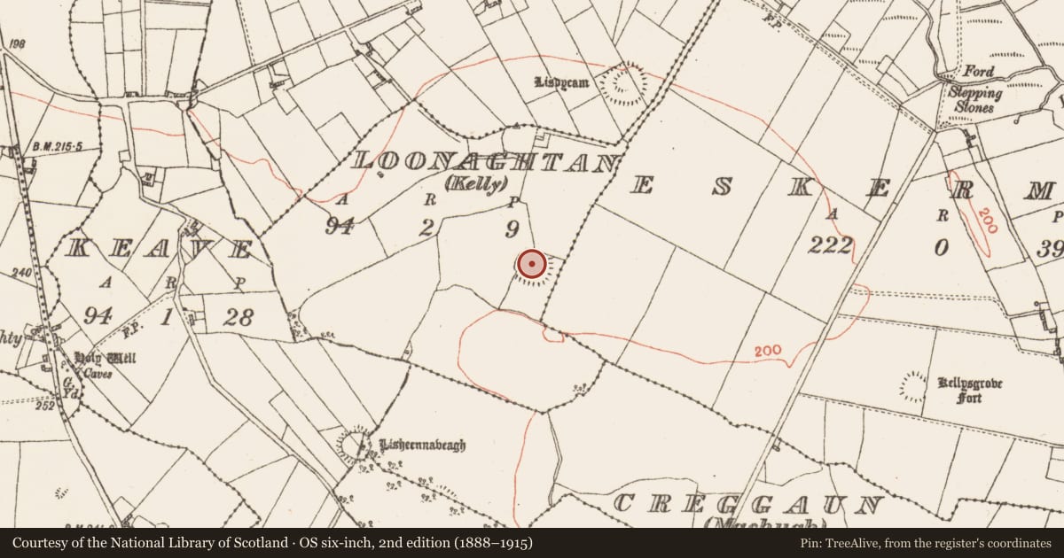 Ordnance Survey six-inch map, 2nd edition (1888–1915) covering the location of Ringfort - rath, Loonaghtan (Kelly), County Galway, with a pin at the register's coordinates