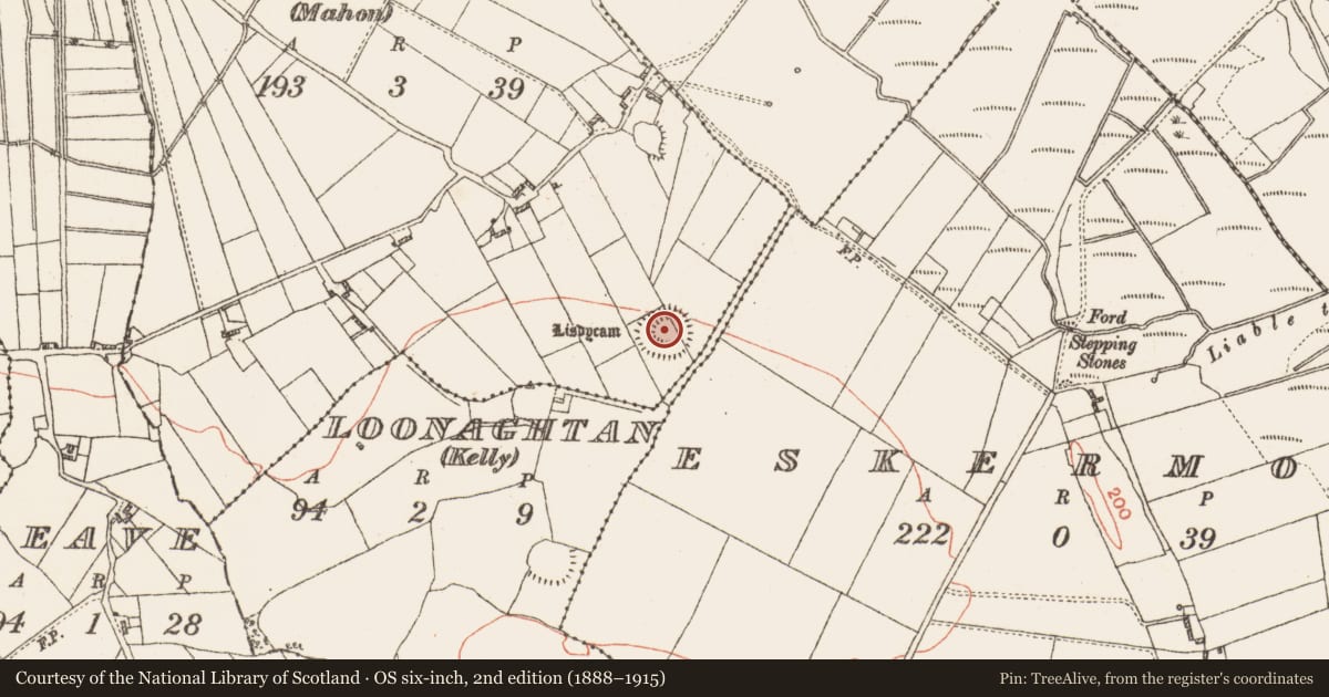 Ordnance Survey six-inch map, 2nd edition (1888–1915) covering the location of Ringfort - rath, Loonaghtan (Mahon), County Galway, with a pin at the register's coordinates