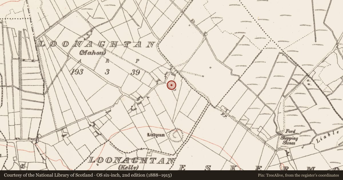 Ordnance Survey six-inch map, 2nd edition (1888–1915) covering the location of Ringfort - rath, Loonaghtan (Mahon), County Galway, with a pin at the register's coordinates