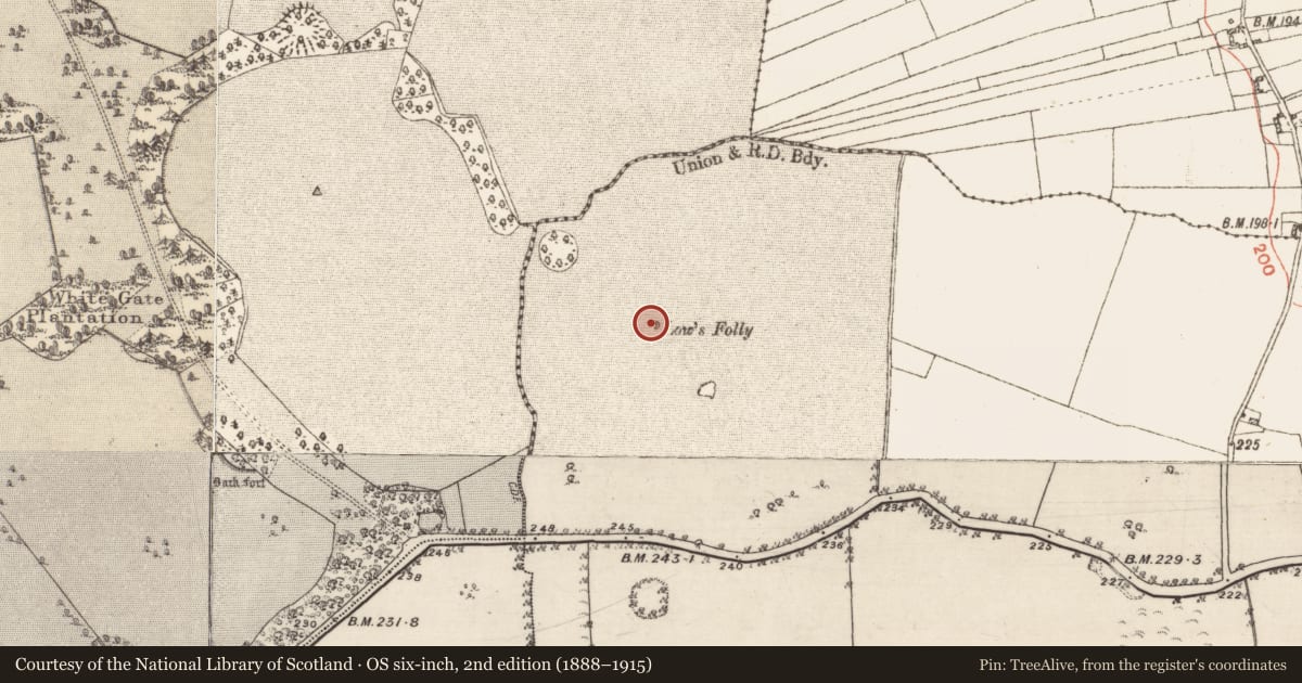 Ordnance Survey six-inch map, 2nd edition (1888–1915) covering the location of Designed landscape - folly, Lowville, County Galway, with a pin at the register's coordinates