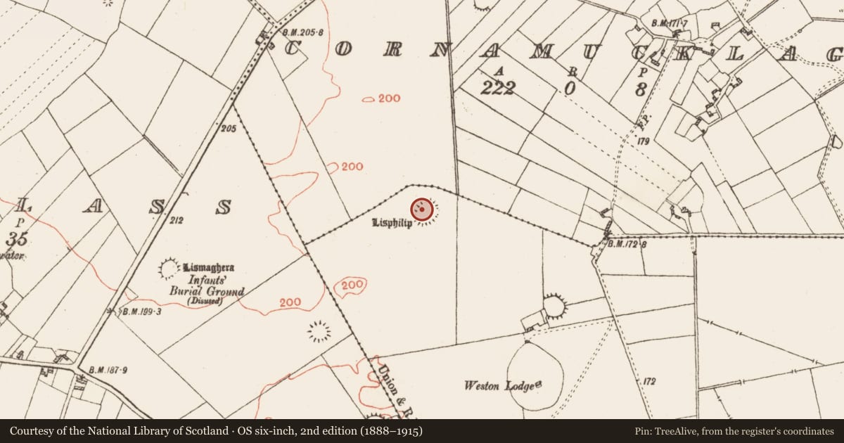 Ordnance Survey six-inch map, 2nd edition (1888–1915) covering the location of Ringfort - unclassified, Weston, County Galway, with a pin at the register's coordinates