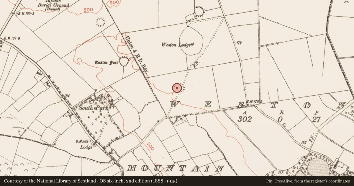 Ordnance Survey six-inch map, 2nd edition (1888–1915) covering the location of Ringfort - unclassified, Weston, County Galway, with a pin at the register's coordinates