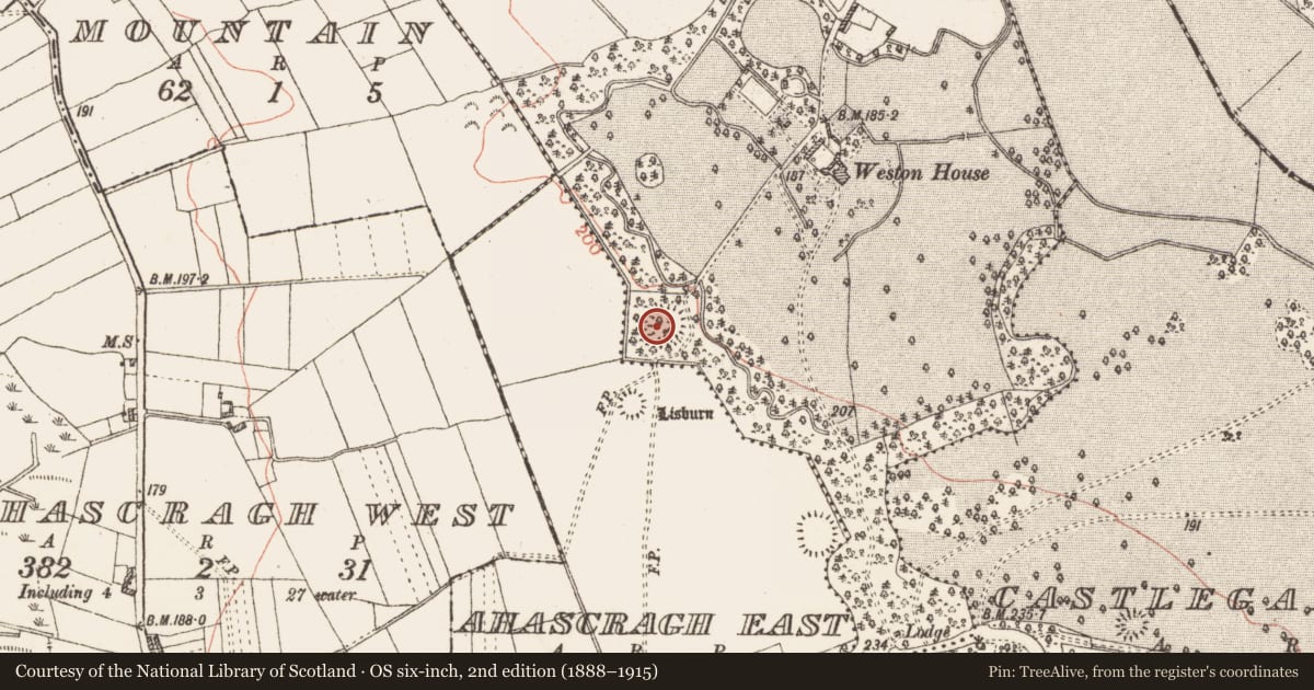 Ordnance Survey six-inch map, 2nd edition (1888–1915) covering the location of Ringfort - rath, Weston, County Galway, with a pin at the register's coordinates