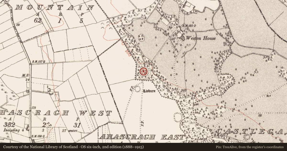 Ordnance Survey six-inch map, 2nd edition (1888–1915) covering the location of Souterrain, Weston, County Galway, with a pin at the register's coordinates
