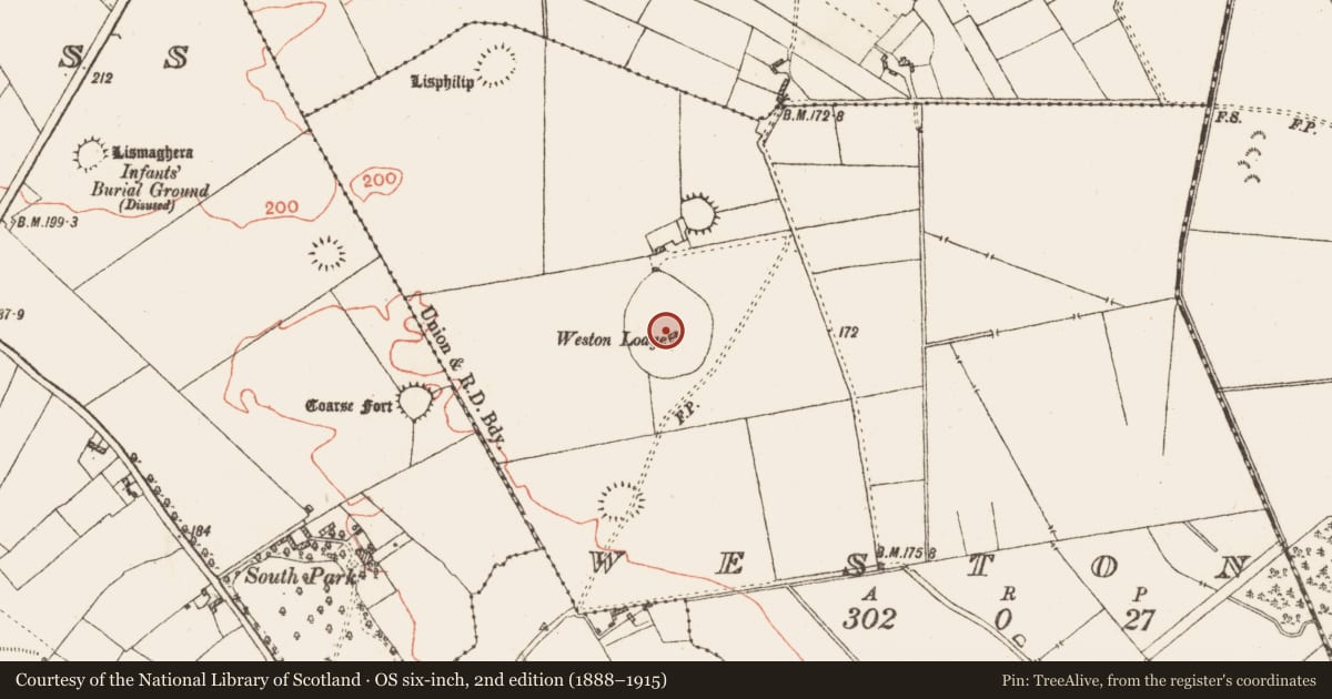 Ordnance Survey six-inch map, 2nd edition (1888–1915) covering the location of House - 18th/19th century, Weston, County Galway, with a pin at the register's coordinates