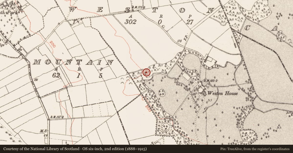 Ordnance Survey six-inch map, 2nd edition (1888–1915) covering the location of Enclosure, Weston, County Galway, with a pin at the register's coordinates