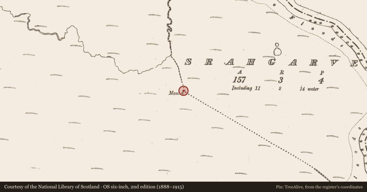 Ordnance Survey six-inch map, 2nd edition (1888–1915) covering the location of Boundary mound, Derryfadda, Srahgarve, County Galway, with a pin at the register's coordinates
