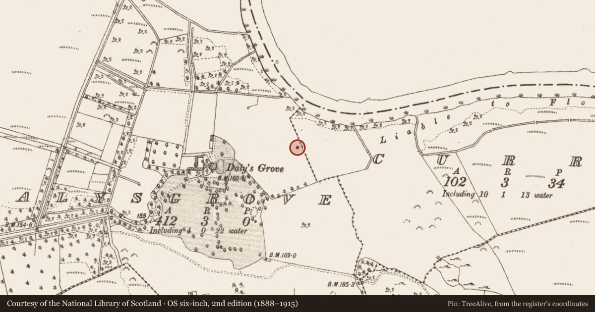Ordnance Survey six-inch map, 2nd edition (1888–1915) covering the location of Enclosure, Curry, Dalysgrove, County Galway, with a pin at the register's coordinates
