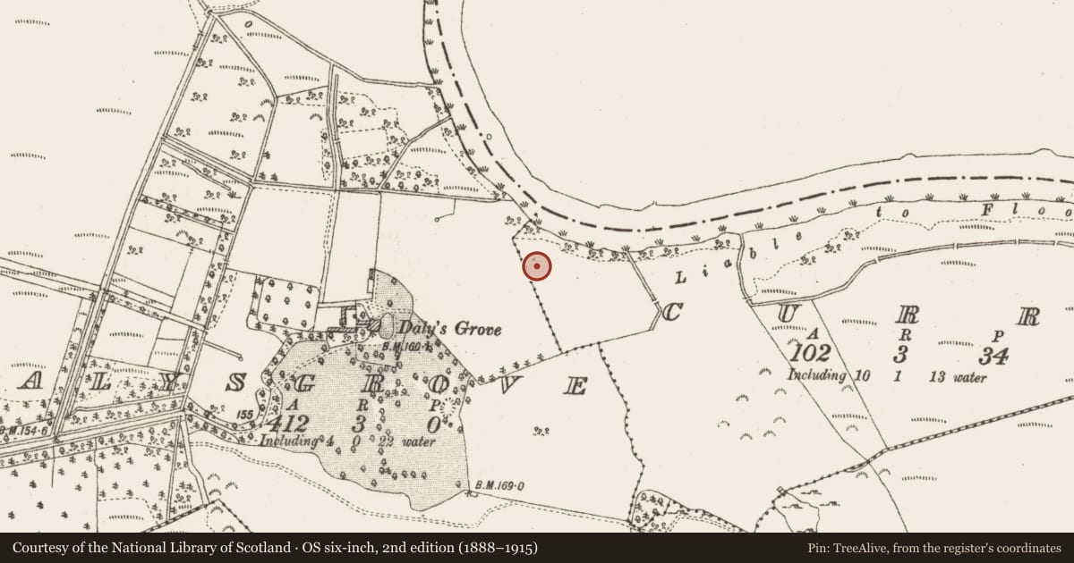 Ordnance Survey six-inch map, 2nd edition (1888–1915) covering the location of Road - road/trackway, Dalysgrove, County Galway, with a pin at the register's coordinates