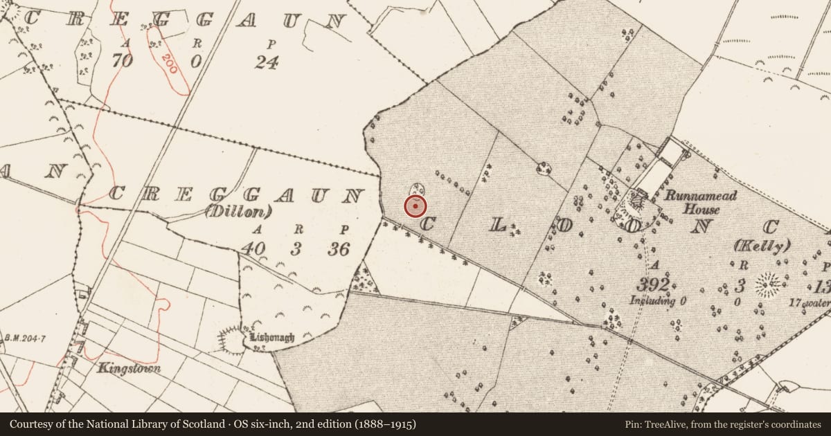 Ordnance Survey six-inch map, 2nd edition (1888–1915) covering the location of Fulacht fia, Clooncannon (Kelly), County Galway, with a pin at the register's coordinates